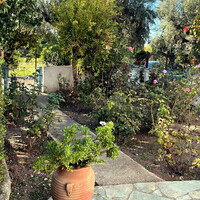 Other in Greece, Peloponnese, 140 sq.m.