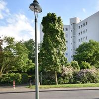 Квартира в Германии, Северная Рейн-Вестфалия, Дюссельдорф, 38 кв.м.