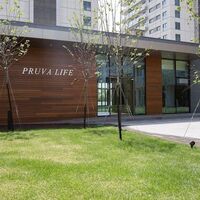 Apartment in Turkey, Istanbul