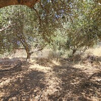 Другое в Греции, Крит, 60 кв.м.