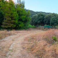 Island in Greece, Epirus, 29944 sq.m.