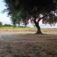 Island in Greece, Epirus, 29944 sq.m.