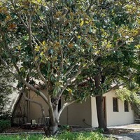Villa in Greece, Thessaloniki, 460 sq.m.