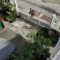 Flat in Greece, Paralia, 105 sq.m.