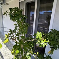Flat in Greece, Katerini, 85 sq.m.