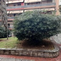 Flat in Greece, Thessaloniki, 47 sq.m.