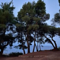 Flat in Greece, Nikiti, 75 sq.m.