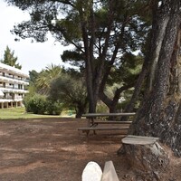 Flat in Greece, Nikiti, 75 sq.m.
