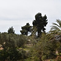 Flat in Greece, Nikiti, 75 sq.m.