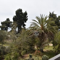Flat in Greece, Nikiti, 75 sq.m.