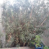Flat in Greece, 103 sq.m.