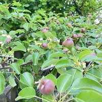 Villa in Turkey, Istanbul, 360 sq.m.