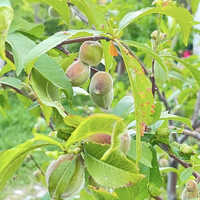 Villa in Turkey, Istanbul, 360 sq.m.