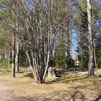 Дом в Финляндии, Пирканмаа, 111 кв.м.