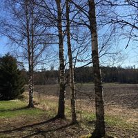 Дом в Финляндии, Пирканмаа, 111 кв.м.