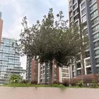 Residential complex in Turkey, Istanbul, 180 sq.ft.