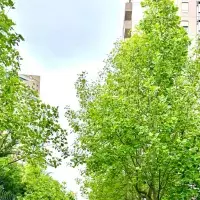 Жилой комплекс в Турции, Стамбул, 186 кв.фт.