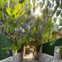 Residential complex in Turkey, Villa, 180 sq.ft.
