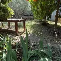 Жилой комплекс в Турции, Villa, 160 кв.фт.