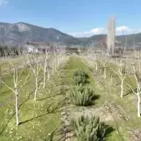 Land plot in Turkey, Land, 8044 sq.ft.