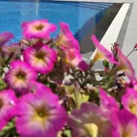 Вилла в Турции, Villa, 265 кв.фт.