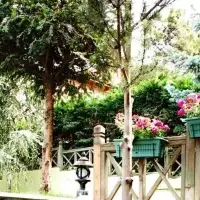 Villa in Turkey, Istanbul, 450 sq.ft.