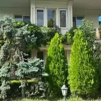 Villa in Turkey, Istanbul, 370 sq.ft.