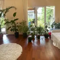 Villa in Turkey, Istanbul, 500 sq.ft.