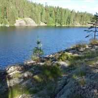 Land plot in Finland, Mikkeli