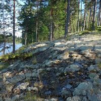 Land plot in Finland, Mikkeli