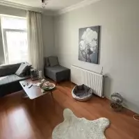 Вилла в Турции, Стамбул, 320 кв.фт.