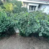 Villa in Turkey, Istanbul, 300 sq.ft.