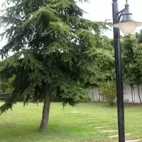 Villa in Turkey, Istanbul, 1360 sq.ft.