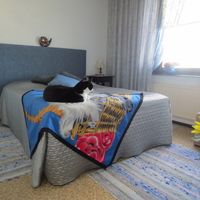 Flat in Finland, Imatra, 45 sq.m.