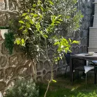 Villa in Turkey, Villa, 130 sq.ft.