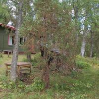 Дом в Финляндии, 60 кв.м.