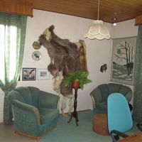 Дом в Финляндии, Пиексямяки, 166 кв.м.