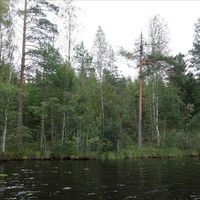 Land plot in Finland, South Karelia, Mikkolanniemi