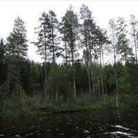 Land plot in Finland, South Karelia, Mikkolanniemi