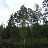 Земельный участок в Финляндии, Южная Карелия, Микколанниеми