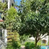 Apartment in Turkey, Fethiye, 120 sq.ft.