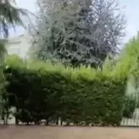 Villa in Turkey, Istanbul, 350 sq.ft.