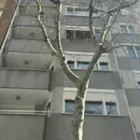 Апартаменты в Турции, Стамбул, 185 кв.фт.