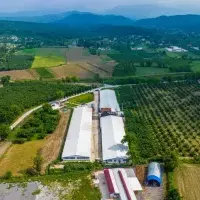 Other in Turkey, Sakarya, Adapazari, 12000 sq.ft.