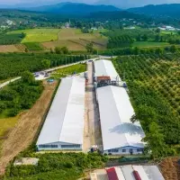 Other in Turkey, Sakarya, Adapazari, 12000 sq.ft.