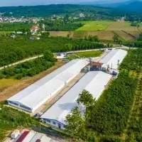 Other in Turkey, Sakarya, Adapazari, 12000 sq.ft.