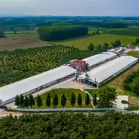 Other in Turkey, Sakarya, Adapazari, 12000 sq.ft.