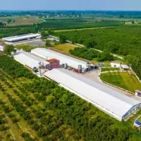 Other in Turkey, Sakarya, Adapazari, 12000 sq.ft.