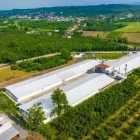 Other in Turkey, Sakarya, Adapazari, 12000 sq.ft.