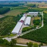Other in Turkey, Sakarya, Adapazari, 12000 sq.ft.